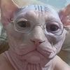 4444kat