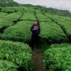 kiyayagus07