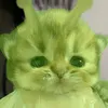 shainbrightlikediamond