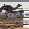 alimarr12