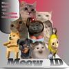 Meow_ID