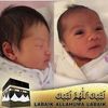 jamilna661