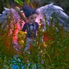 user886200966