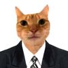 presidentcat9