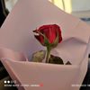 manal_mnoly88