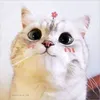hienhien_112000