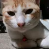 raw_bean11