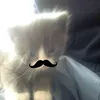 ha.nguy01