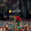 alihasson921