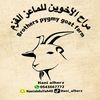 hani_alherz