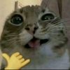 skibidiglizzy67