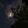 بــسمـه ..♡