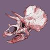 le_triceratops