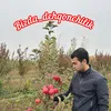 bizda_dehqonchilik