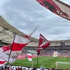 vfb_onsb273
