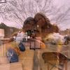 showittomeplsrachel