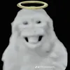 bitus_08