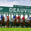 pronoturfvip