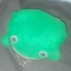 ranaleo15