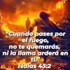 enrique.quej5