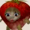 frutitutii