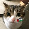 husnul_1812