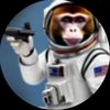 moonkey234
