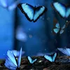 maryz0319