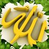 usern2j096yjwd