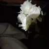 emnhocauulam23112003
