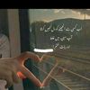 areebach9900000