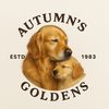 autumns_goldens