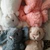 jellycat2539