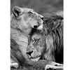 shara_124