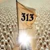 313m179