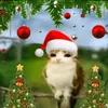 meowl_christmasboy