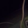 user9501859986068