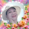 vietdothi0