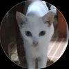 letuzawa172