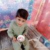 saeedsaeed9503