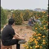 trungtran04191990