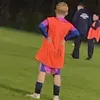 nicklitke