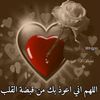 user6331552755512