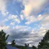 ..jboretnacniutib