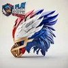 IPlayAmericanFootballInFrance