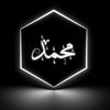 mohamed.s63