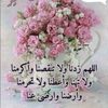 alyaalshaebi