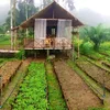 farmlifecountry