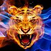 donaldwesley256