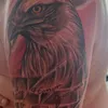 breitos10